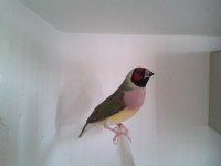 /album/galeria-de-fotos/a2013-02-05-17-27-09-jpg/